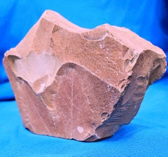 Fossil Leaves Natural Specimen from Succor Creek Formation, Owyhee Mountains