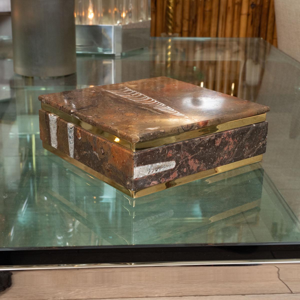 Brown fossil motif box with brass details.