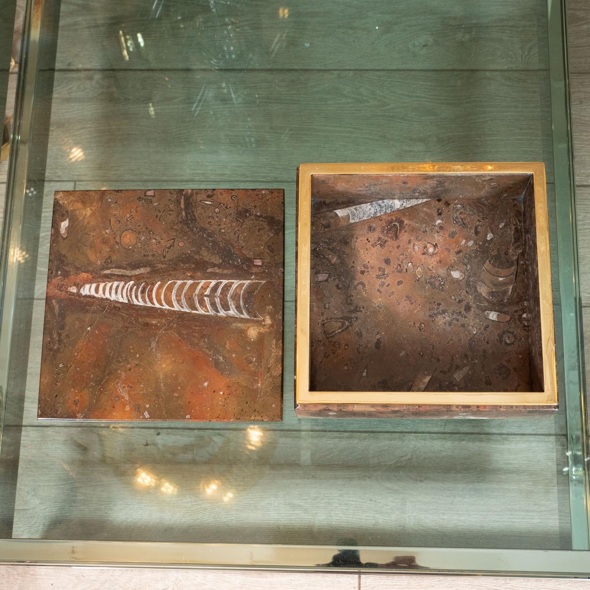 Mid-Century Modern Fossil Motif Box