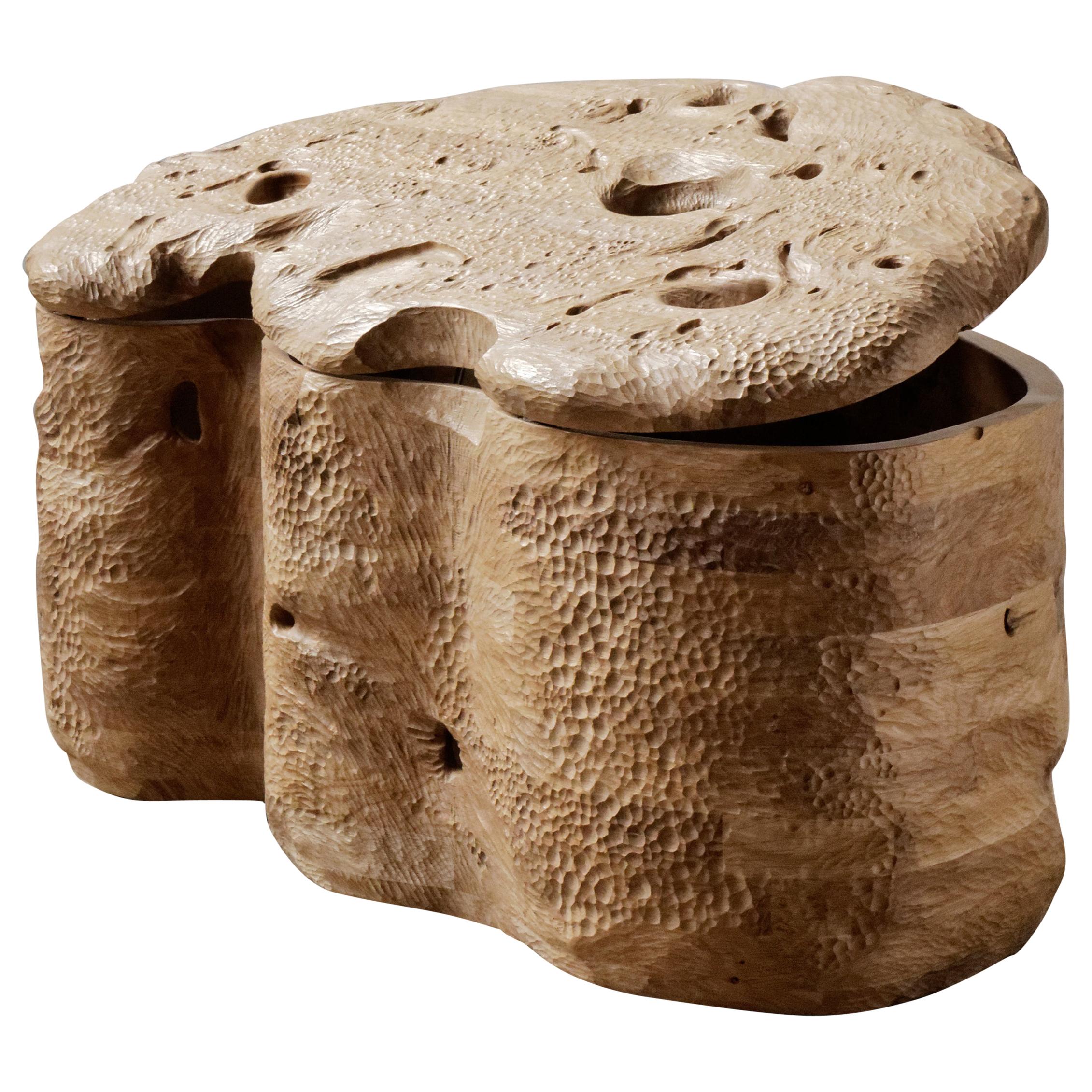 important Brazilian limestone coffee table with fossils at 1stDibs