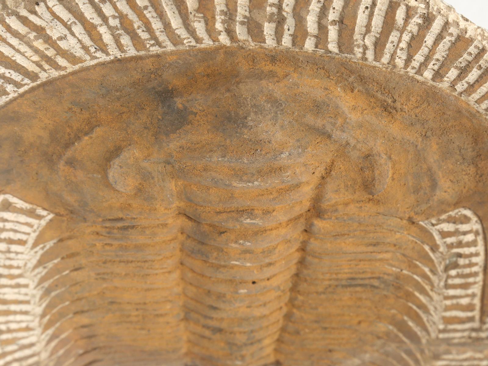 trilobite paleozoic era