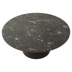 Fossil Rock Coffee Table "1014" by Heinz Lilienthal, High Devonian Rock