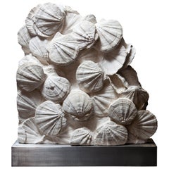 Antique Fossil Scallop Shell Bed from France, 20 Million Years Old