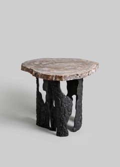 Fossil Side Table In Petrified Wood Overlay Top & Brass, Viya By Vikram Goyal
