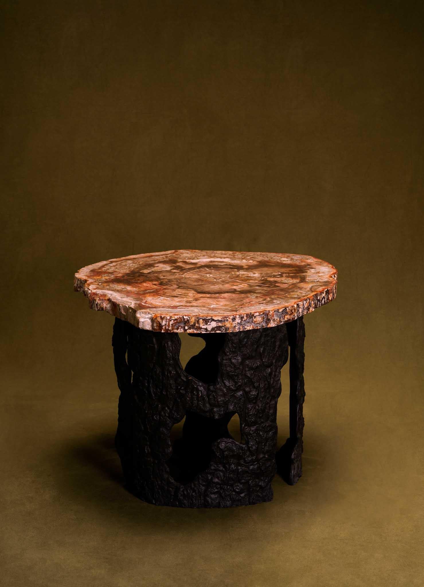 Contemporary Fossil Side Table In Petrified Wood Overlay Top & Brass, Viya By Vikram Goyal For Sale