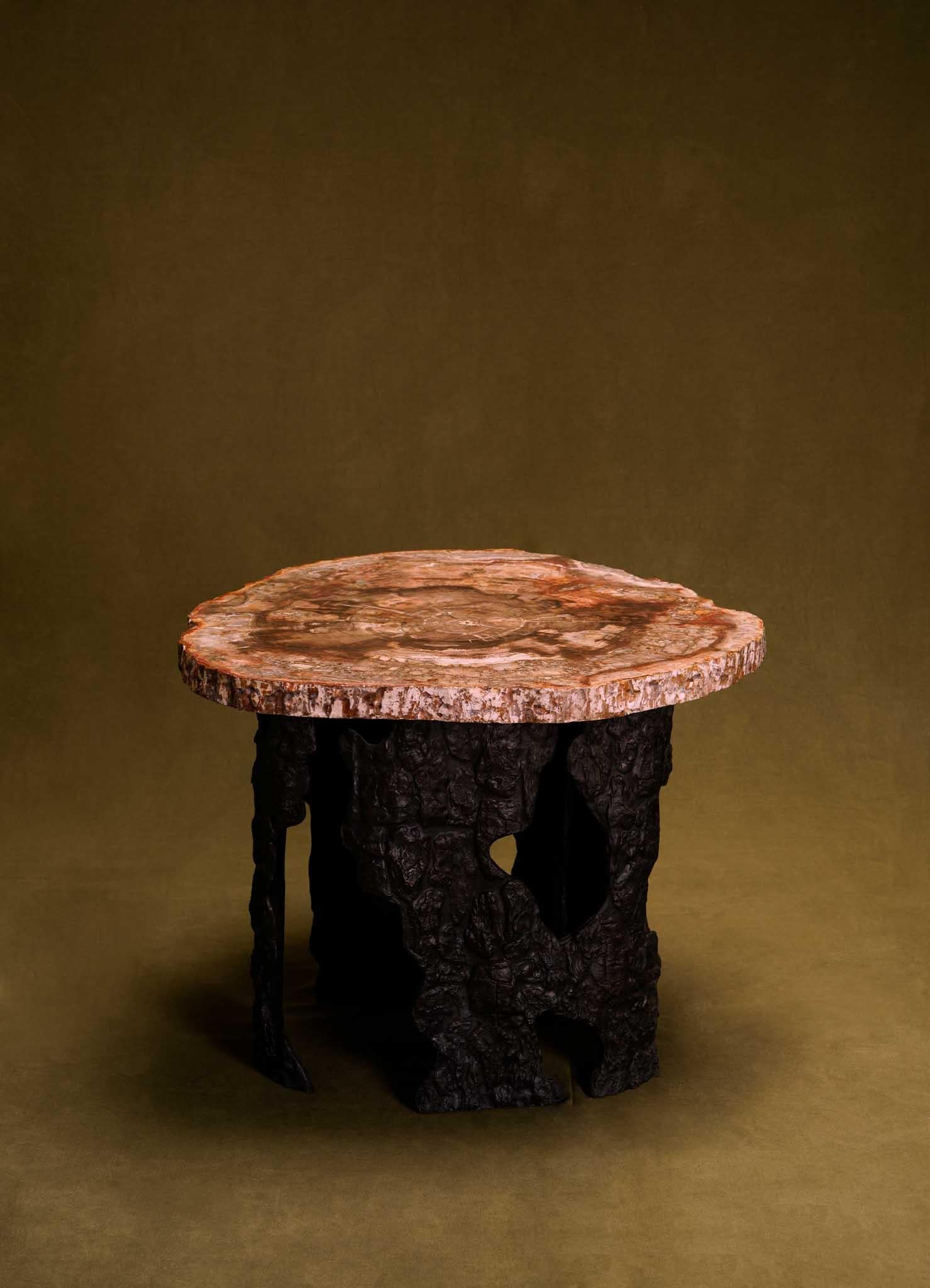 Fossil Side Table In Petrified Wood Overlay Top & Brass, Viya By Vikram Goyal For Sale 1