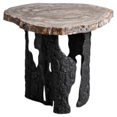 Table d'appoint Fossil avec plateau incrusté de bois pétrifié et laiton Viya de Vikram Goyal