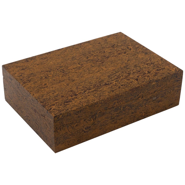 Fossil Stone Box with Hinged Lid For Sale at 1stDibs