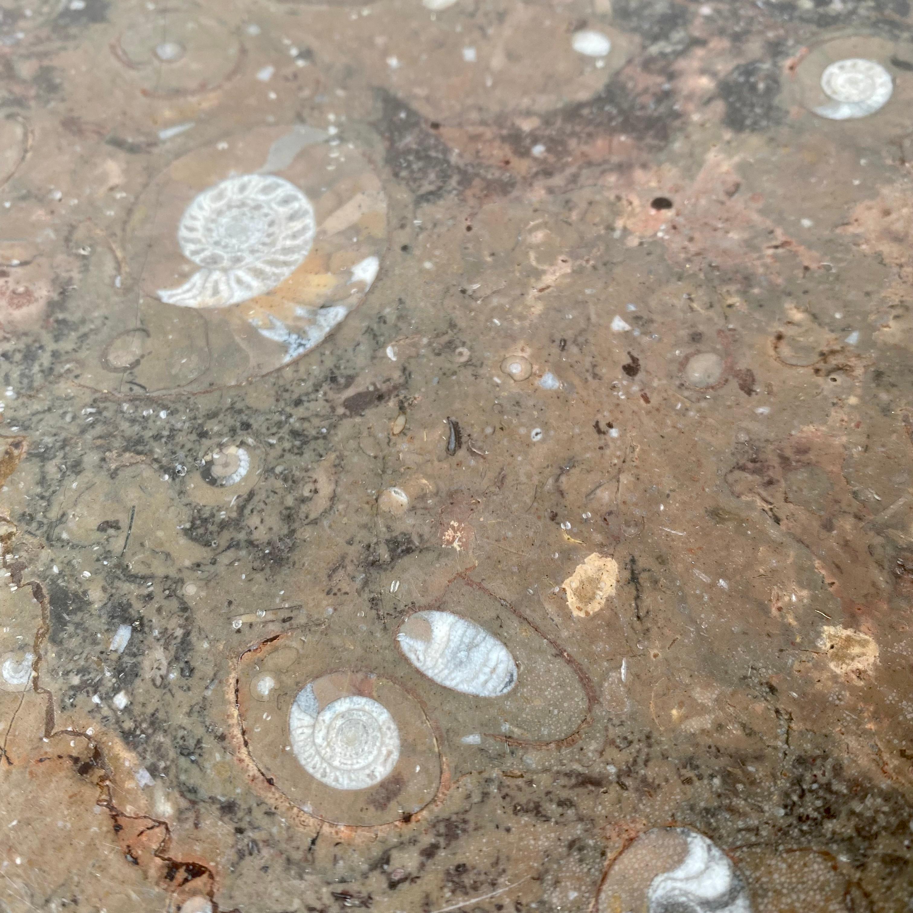 Fossil stone coffee table att. Heinz Lilienthal, Germany 1980s For Sale 1