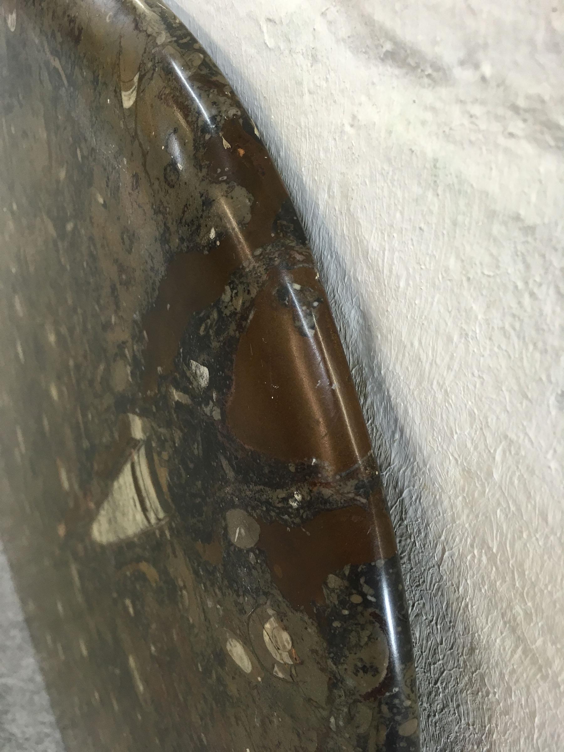 Late 20th Century Fossil Stone Marble Table Top with Loads of Ammonities and Squids Inlays For Sale