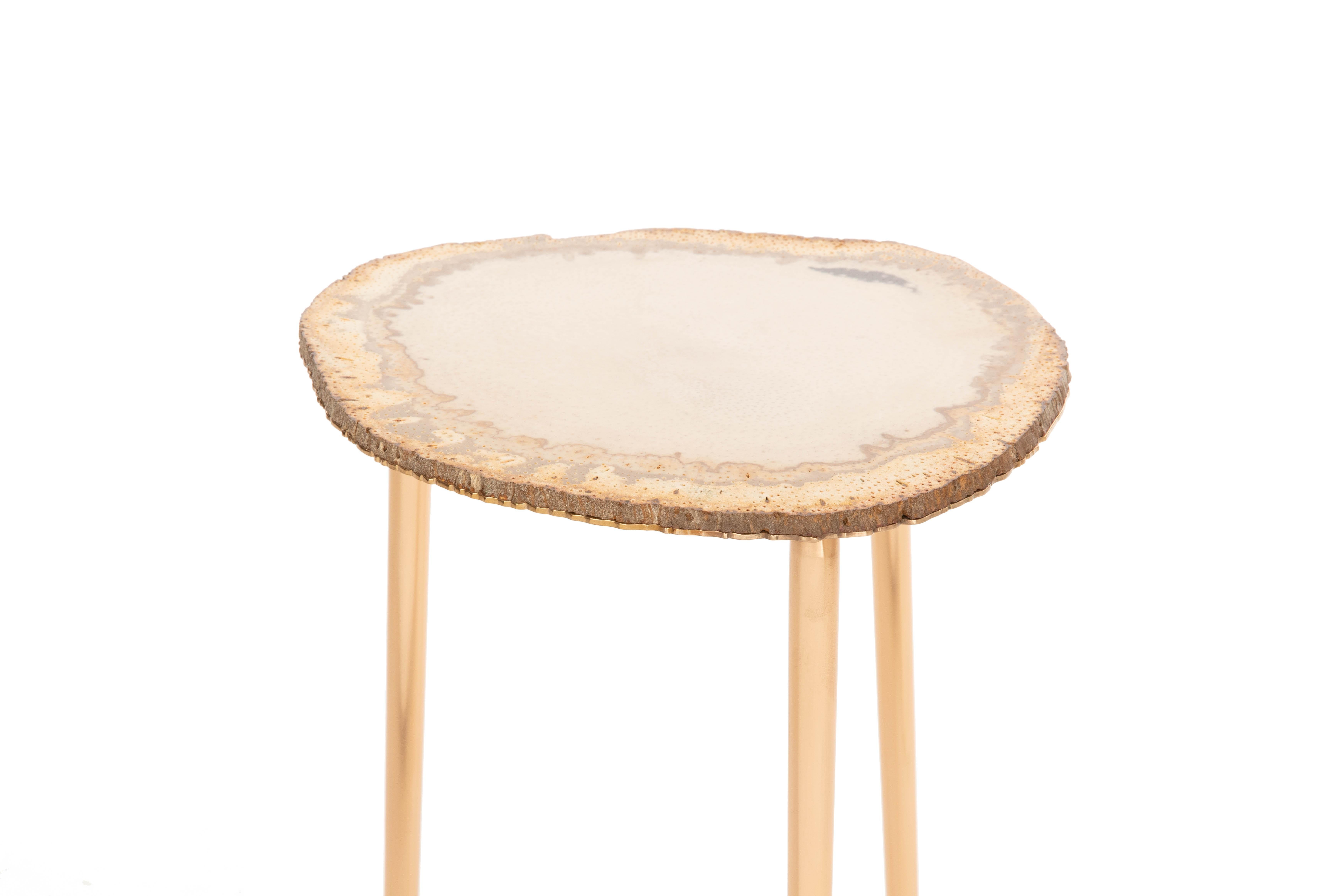 This table is made from petrified palm wood and solid bronze. The surface of the top is polished to reveal the intricate details and the bronze base plate is carefully cut to match the outline of the fossilized wood. I work with a metal artist to