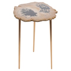 Fossil Table