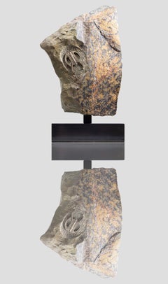 Fossiler Trilobit Aufgesetzter Bronze Stand Resserops Perrector falloti