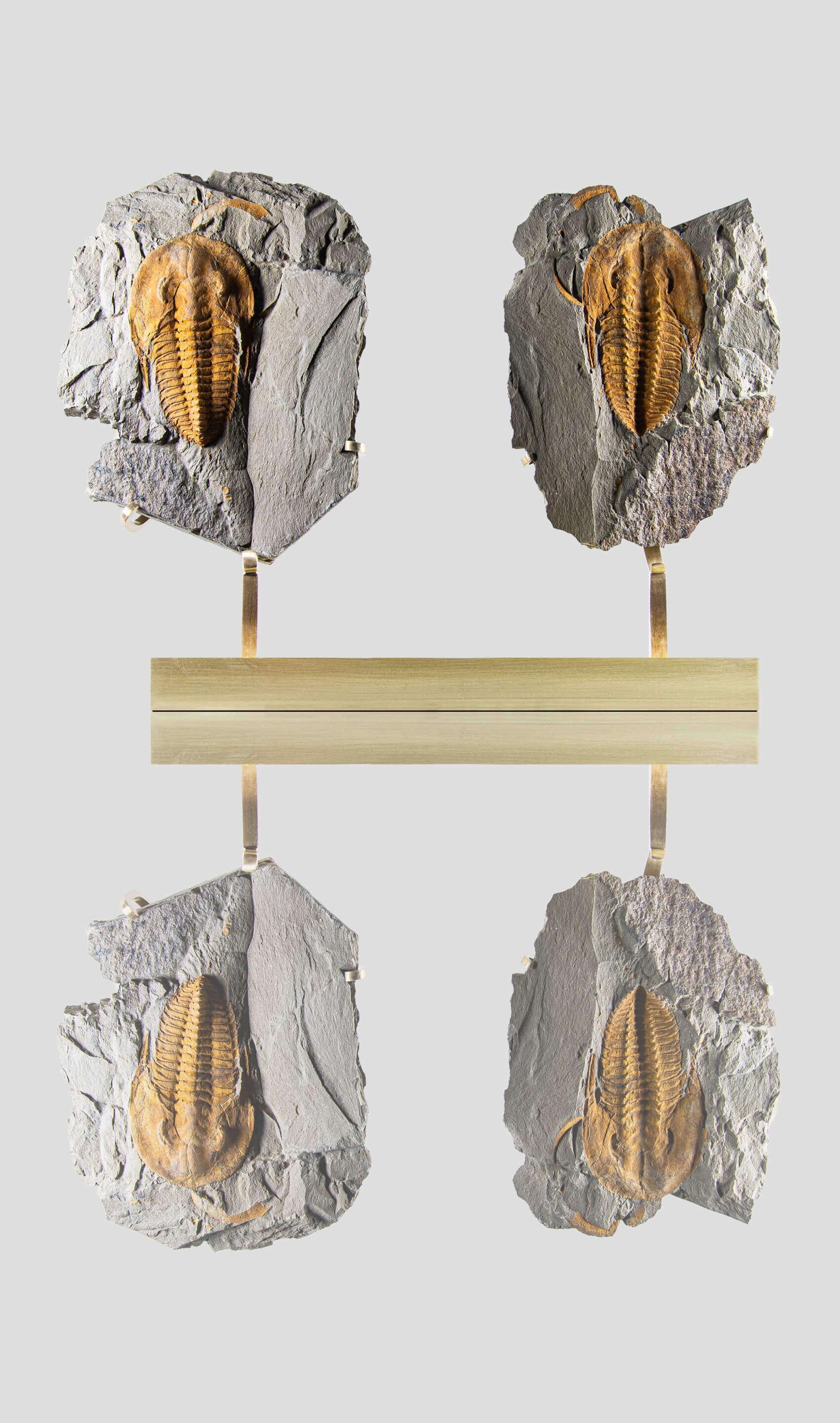 AES  La serie di supporti in ottone ti offre un geode di Cambropallas tellesto positivo e negativo di 39 cm di larghezza complessiva, ora trasformato con la nostra serie di supporti dal design innovativo ed elegante, una straordinaria coppia di