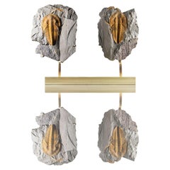 Trilobite fósil sobre soporte de latón grabado