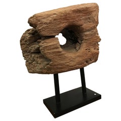 Fossil Wood Sculpture in the Style of Hugo França