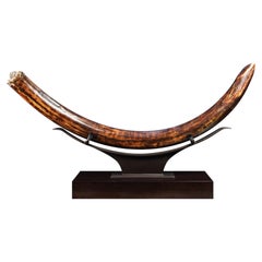 Fossil Woolly Mammoth Tusk on Custom Walnut Stand