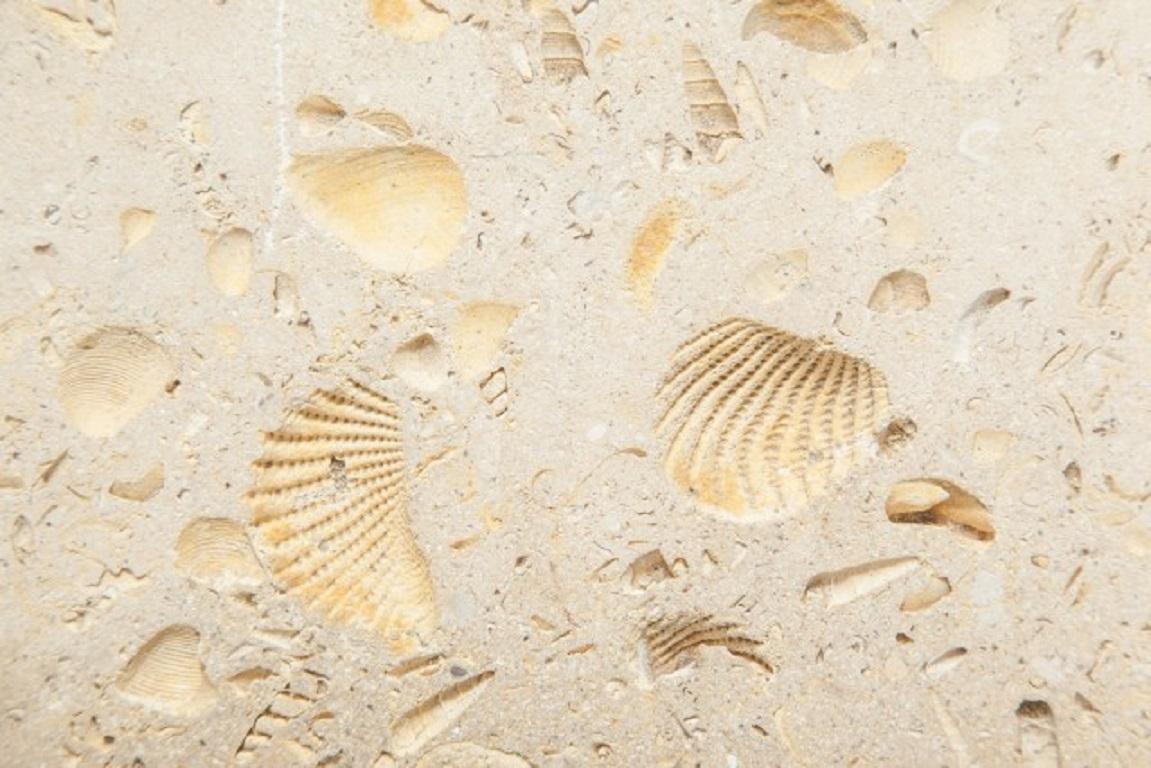 Fossilated Limestone Top and Bronze Table 1