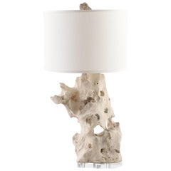 Fossilified Stone Table Lamp, Acrylic Base