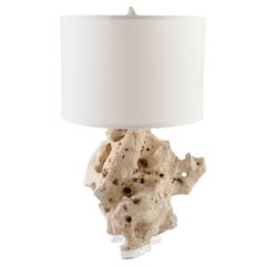 Fossilified Stone Table Lamp, Acrylic Base