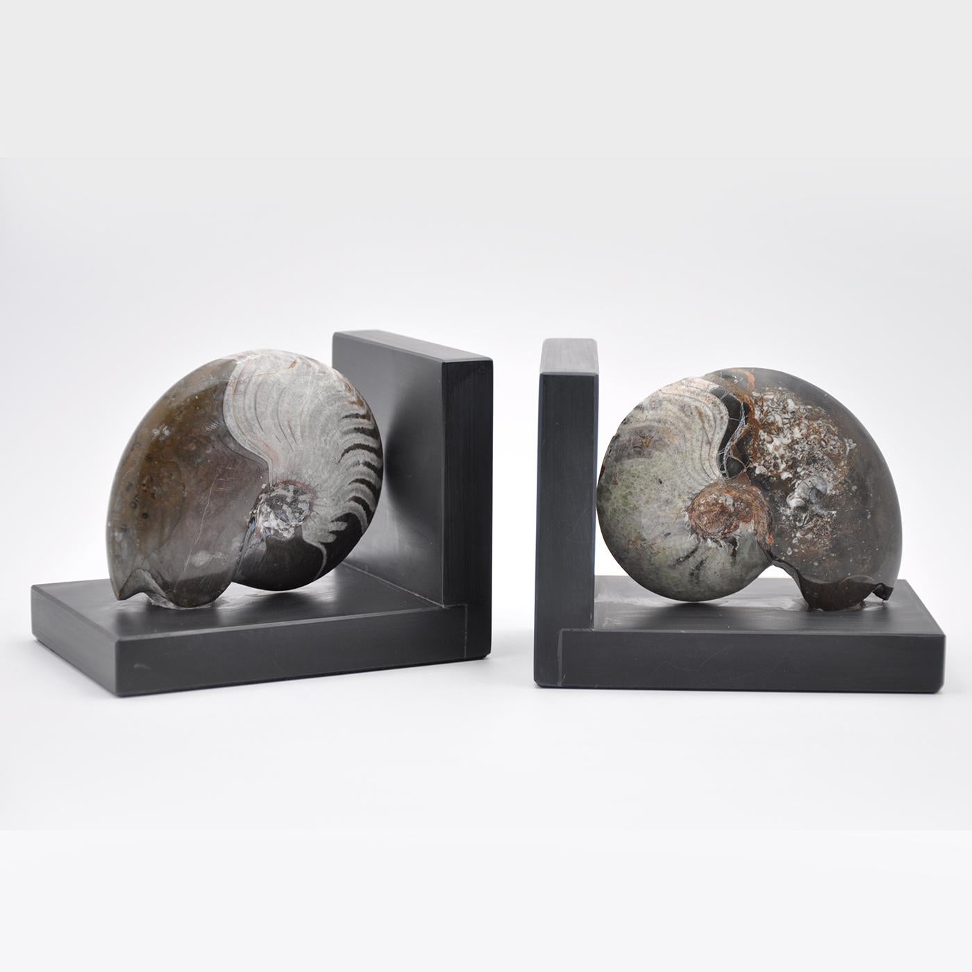 Die Skulptur Ammonite Booksends verbindet auf elegante Weise zeitgenössisches Design mit den authentischen fossilen Muscheln, die auf Millionen von Jahren zurückgehen. Design Center liebt die Form und Textur dieses Ammonitenfossils auf einem
