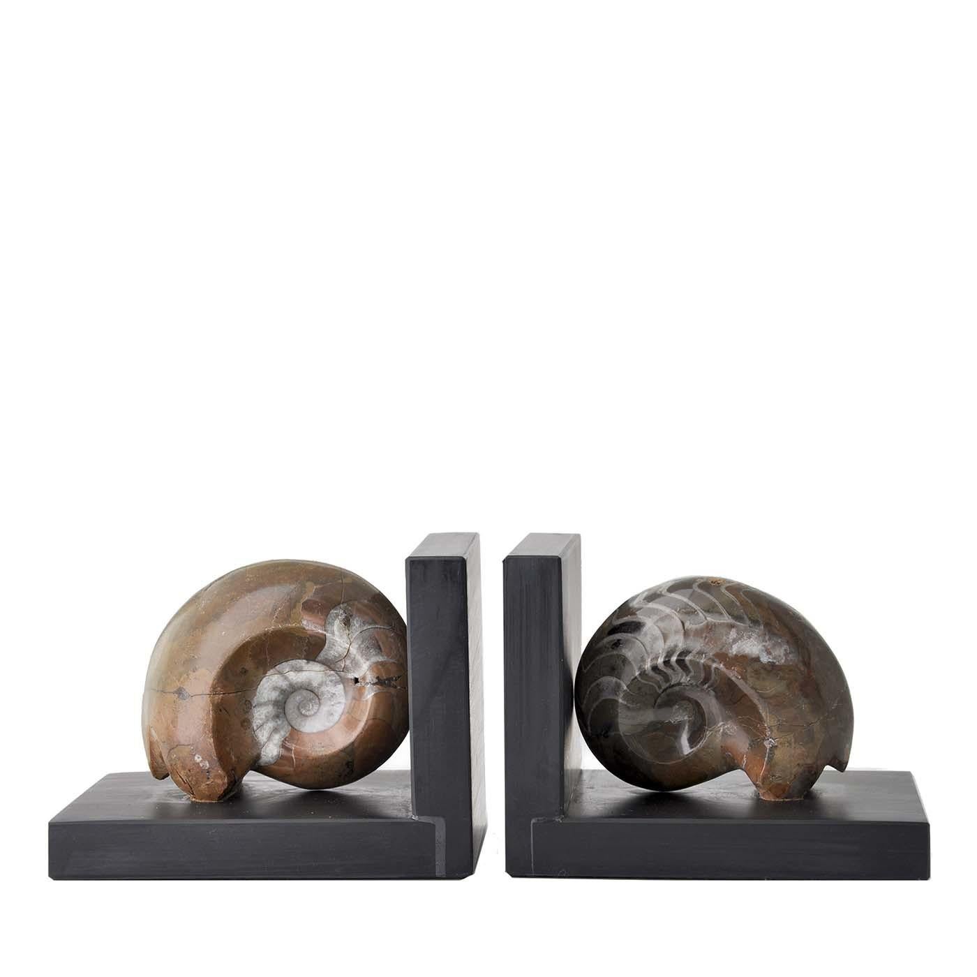 This exclusive Ammonite Booksends sculpture combines contemporary design with authentic fossil shells that date back to milions of years ago. It is truly unique because the natural form and the decorative colors of each Ammonite fossil shell are
