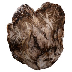 Wall-mounted Sculptures