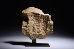Fossilised Dinosaur Skin