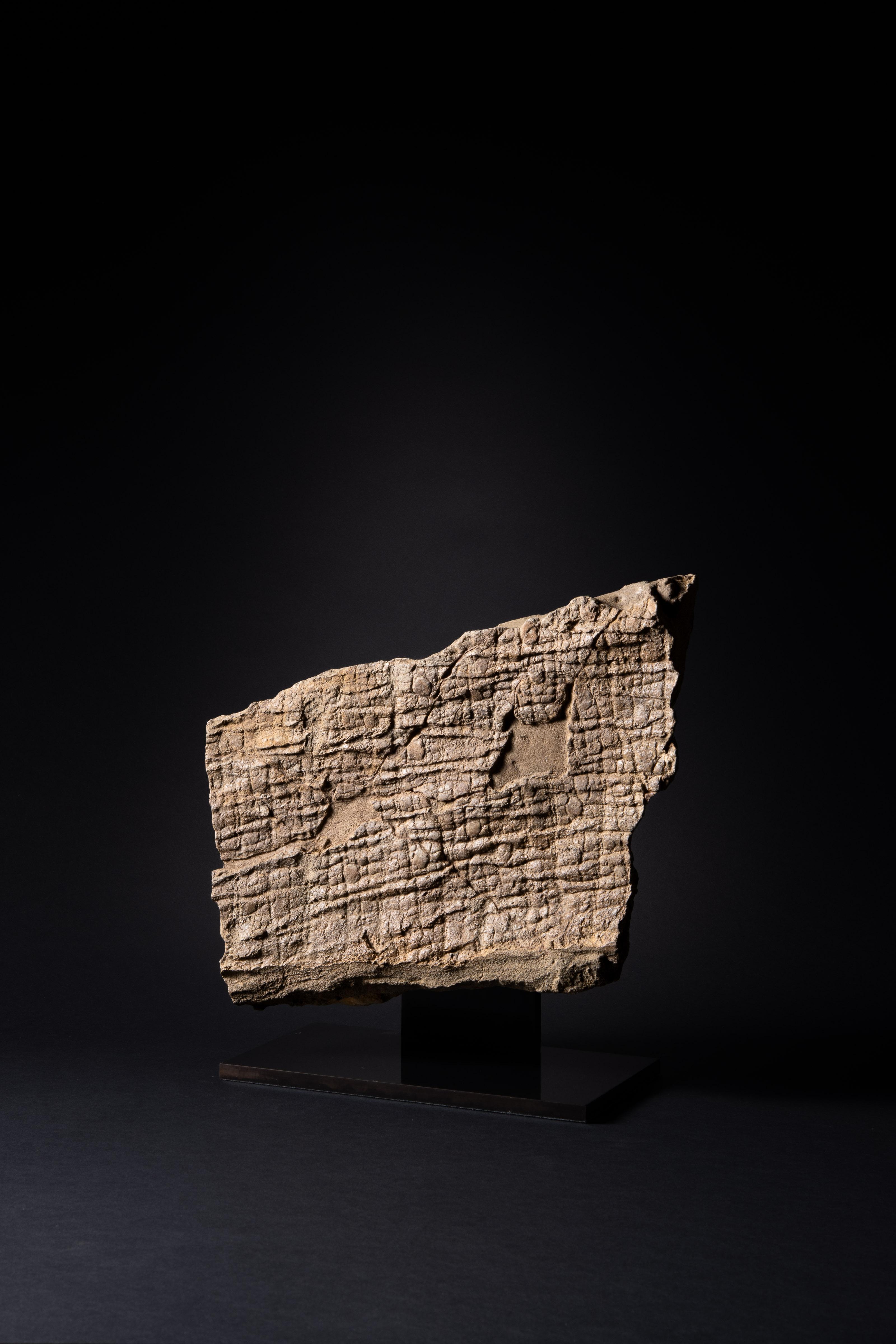 Fossilised Dinosaur Skin with Hexagonal Scales In Excellent Condition For Sale In London, GB