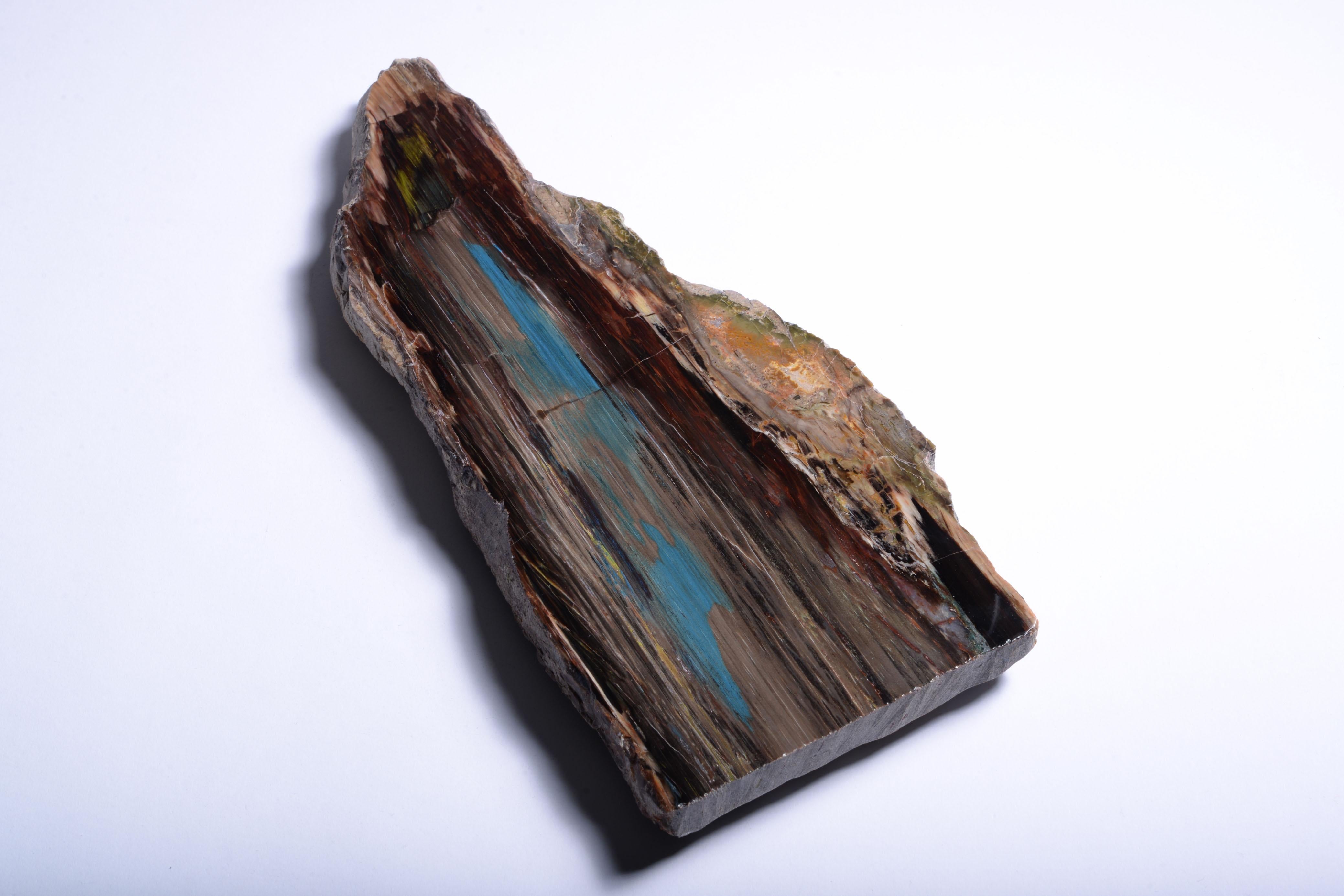 Fino al XVIII secolo Legno fossilizzato con riflessi blu-verdi in vendita