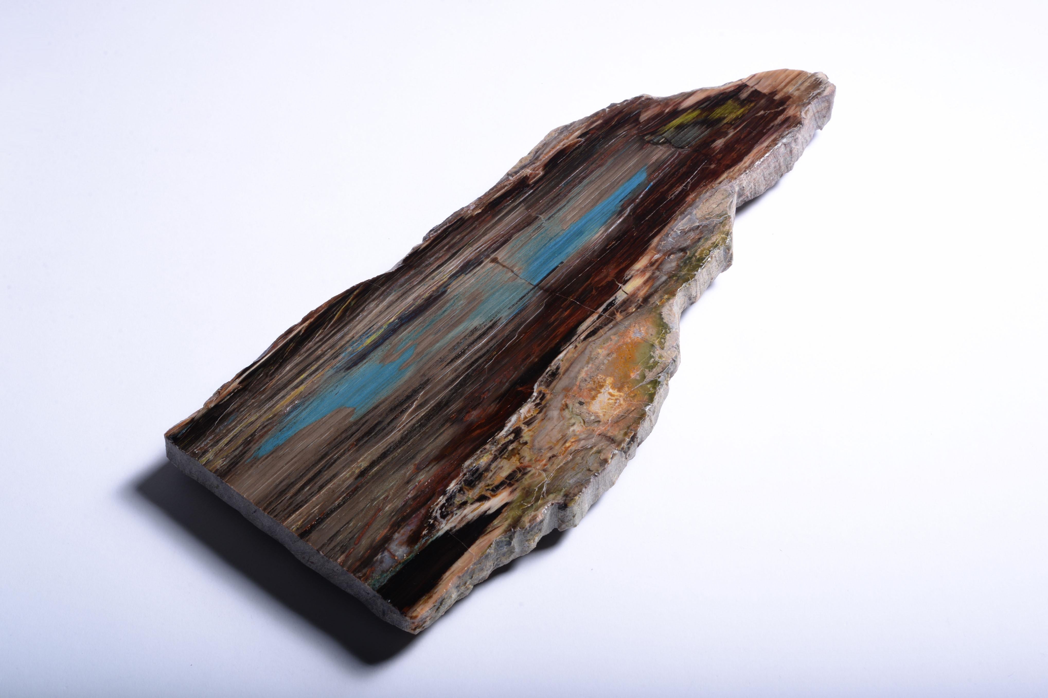 Altro Legno fossilizzato con riflessi blu-verdi in vendita
