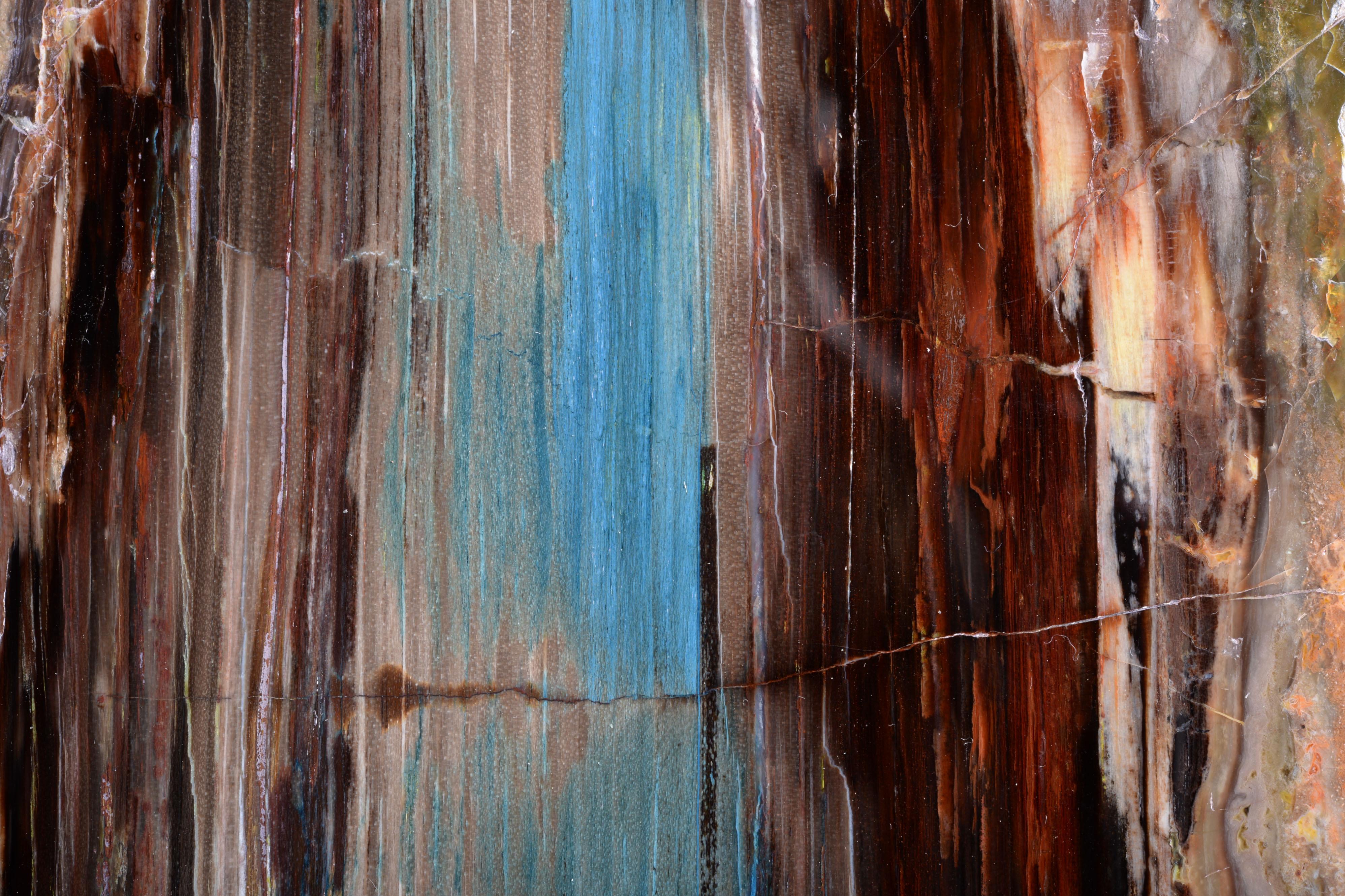 Legno fossilizzato con riflessi blu-verdi in vendita 1