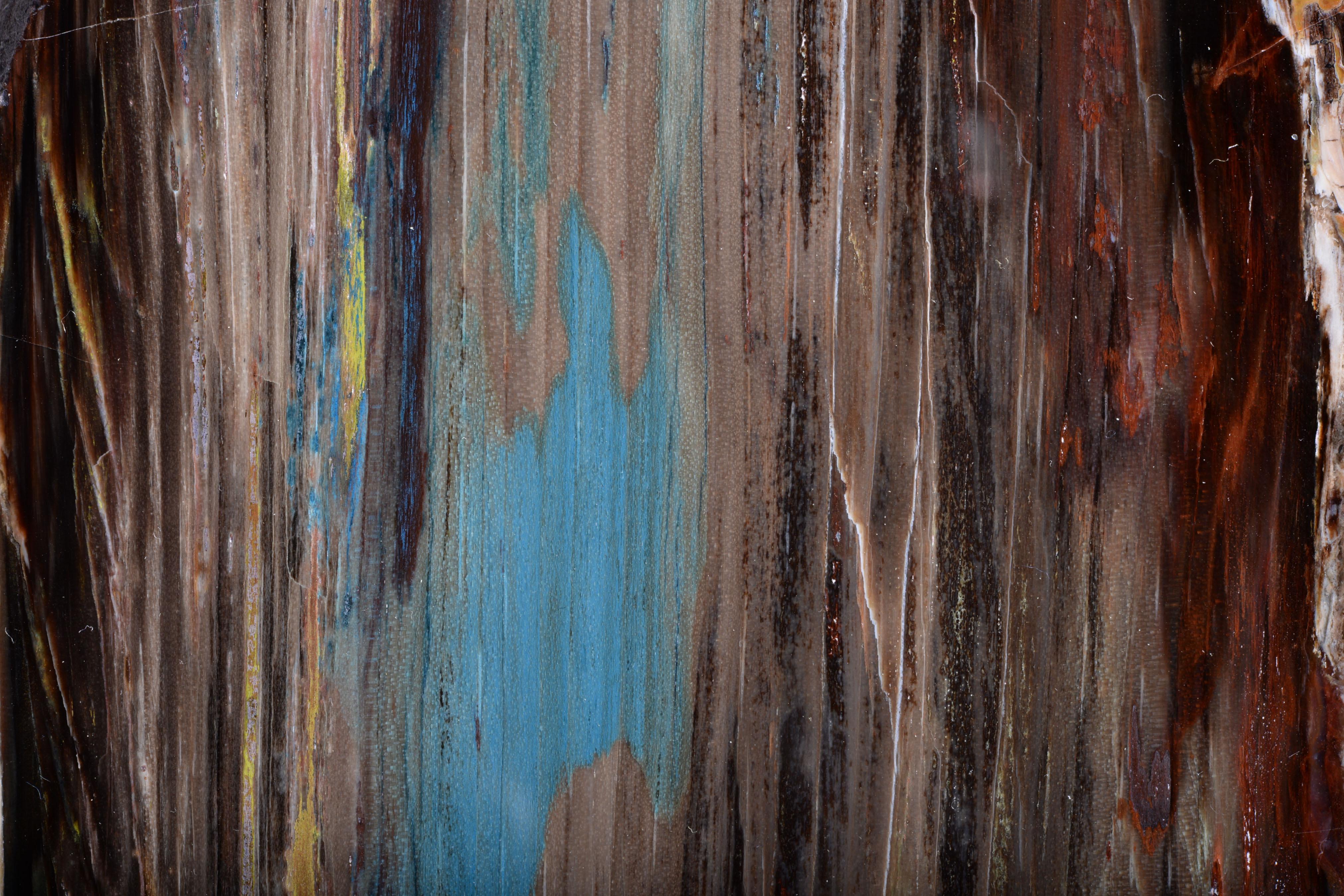 Legno fossilizzato con riflessi blu-verdi in vendita 2