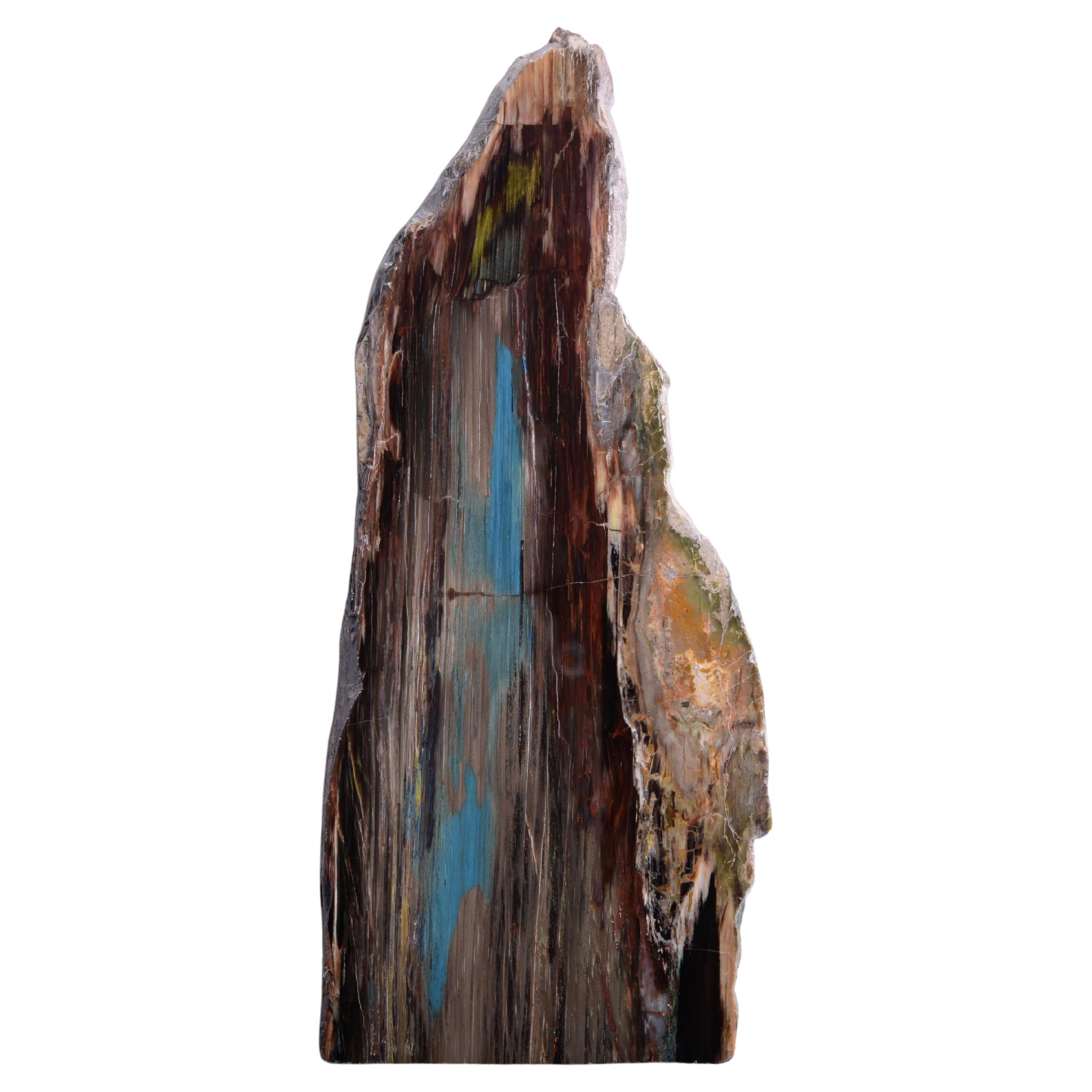 Fossilised Wood with Blue-Green Highlights