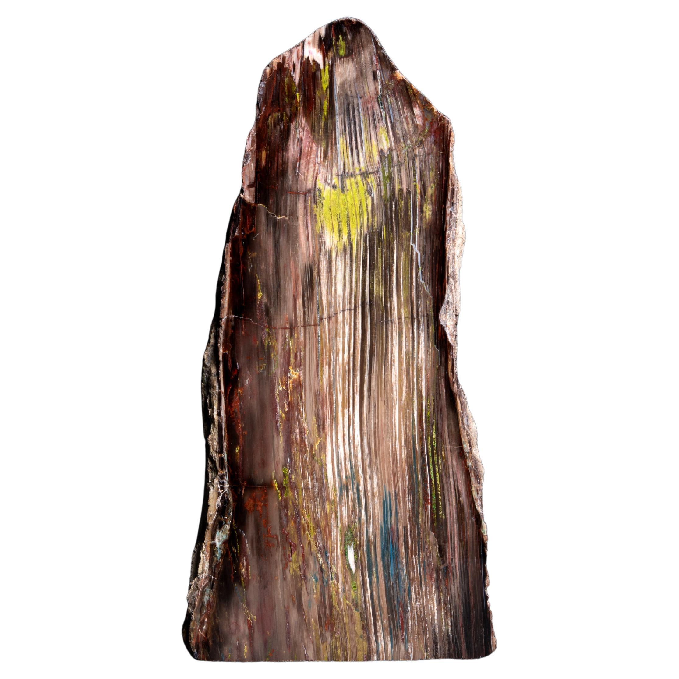 Wood Wood fossilisé avec des inclusions minérales blanc-vert en vente