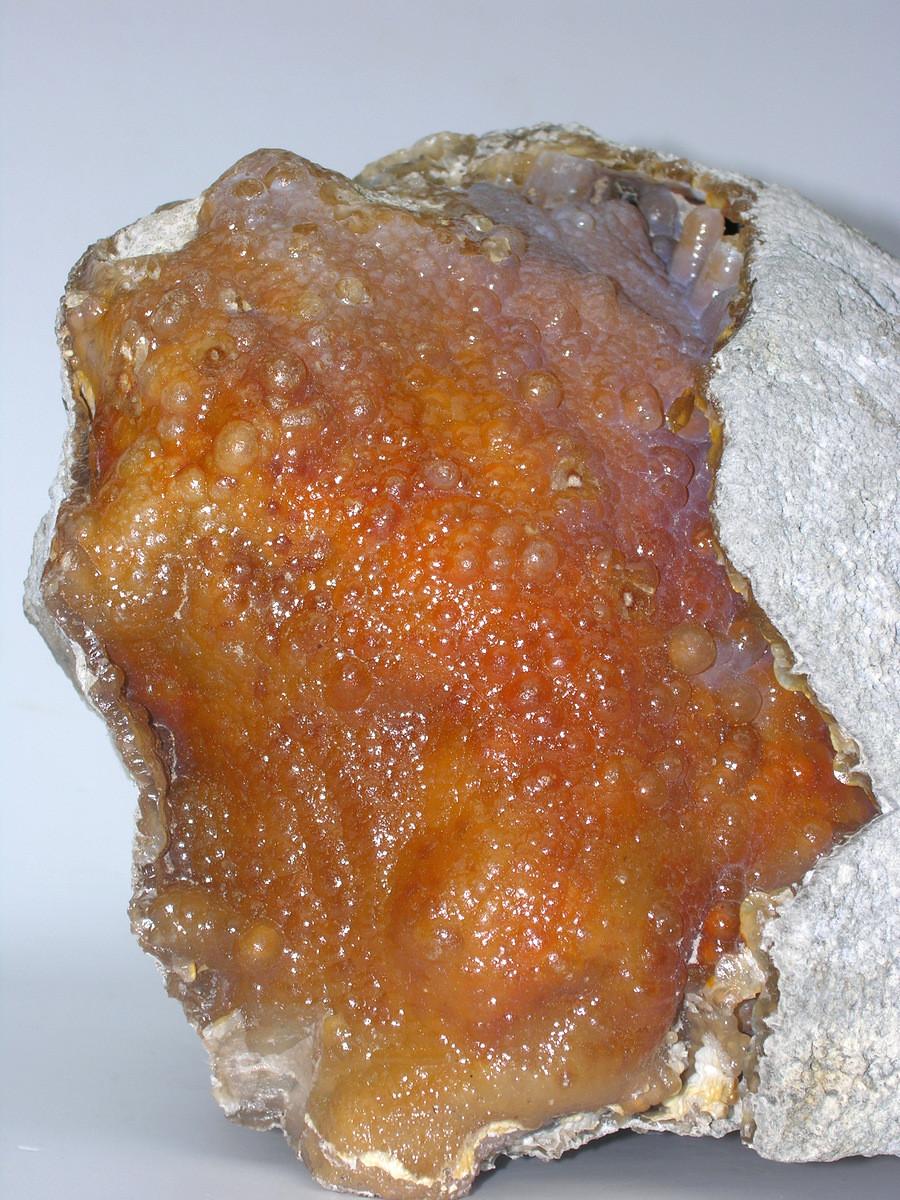Fossilized Coral Agate Formation In Good Condition For Sale In Dublin, Dalkey