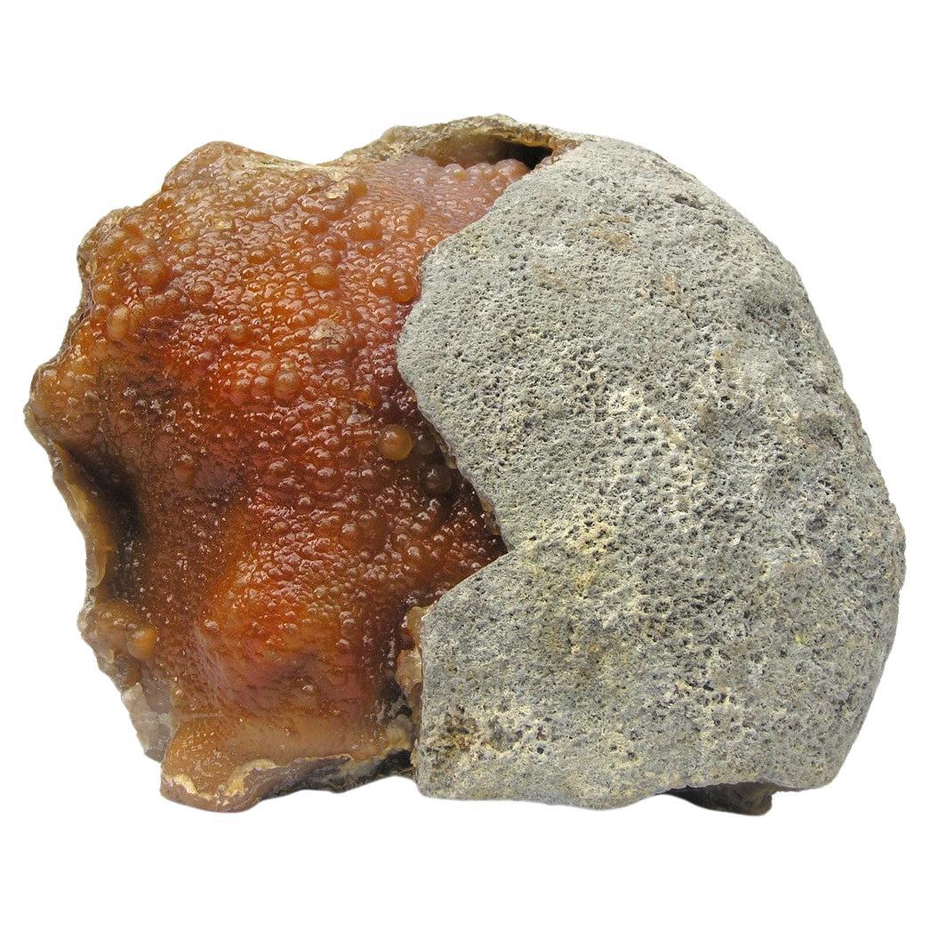 Fossilized Coral Agate Formation