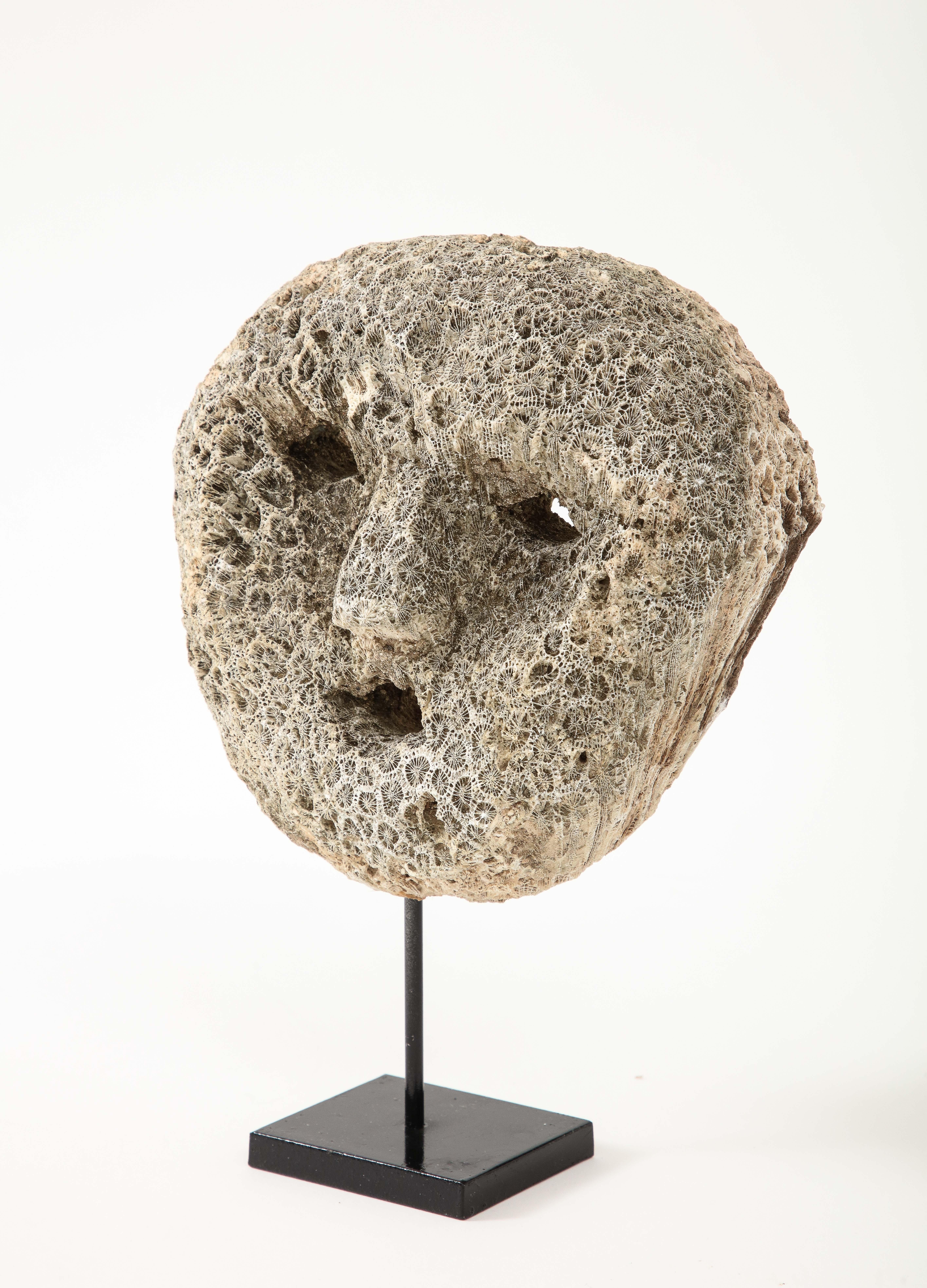 A fossilized coral animist mask on modern stand carved by the Atomi People of the Island of Timor.  Highly decorative and should be placed in and around your property to ward of evil spirits. 
Hand-carved in Timor, late 20th century 
Size: 9 1/2