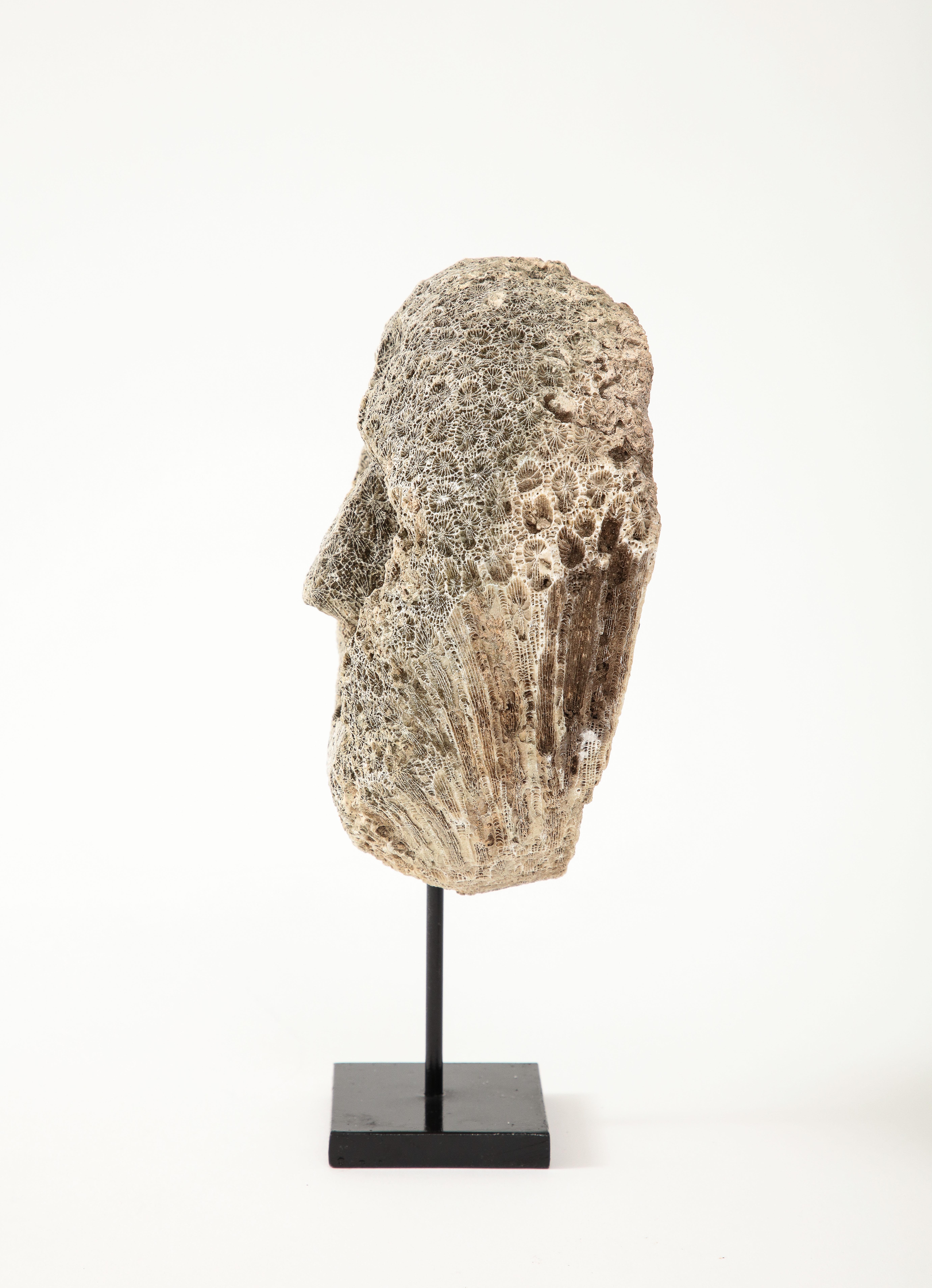 Timorese Fossilized Coral Animist Mask by the Atomi People of Timor  For Sale