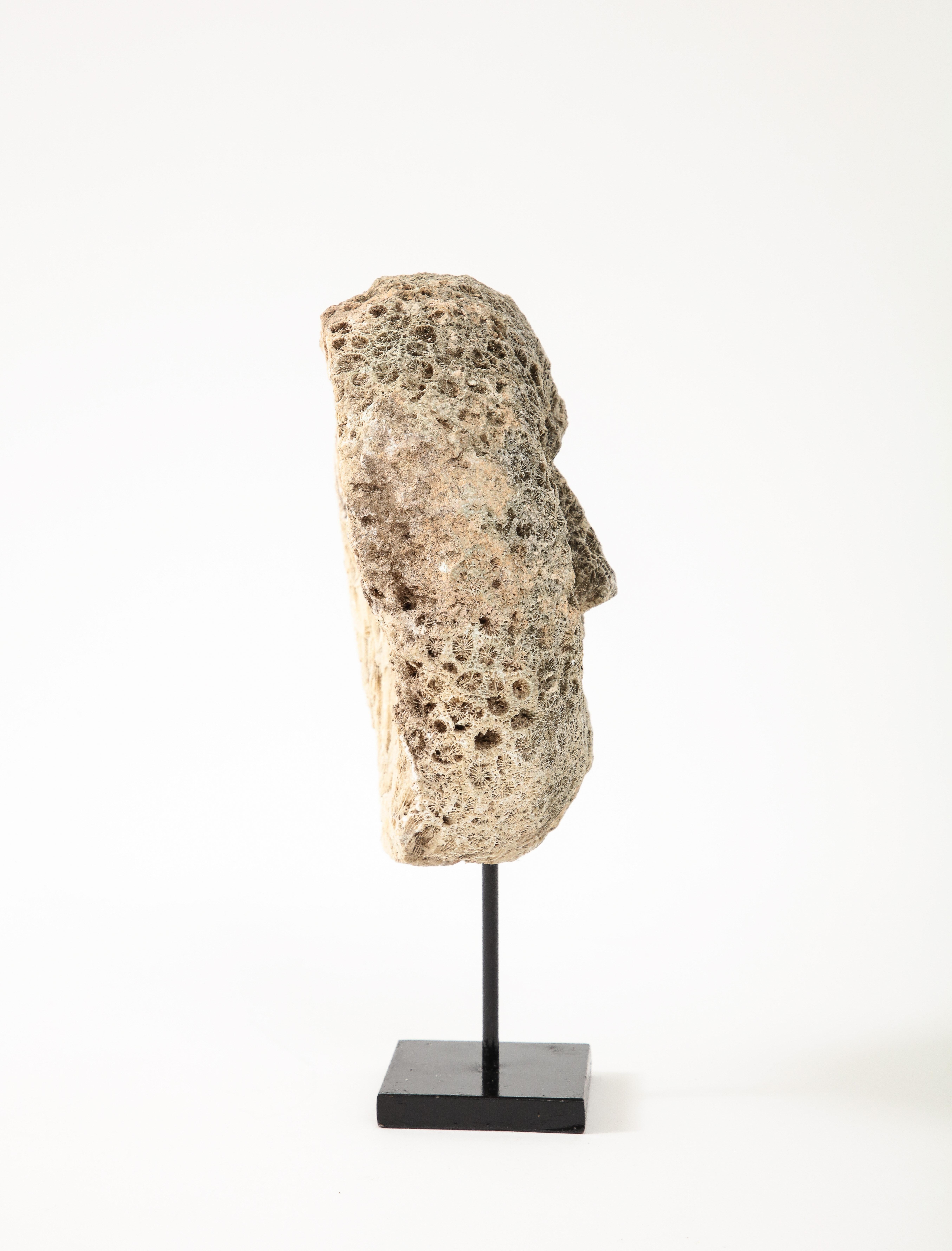 Fossilized Coral Animist Mask by the Atomi People of Timor  In Good Condition For Sale In New York, NY
