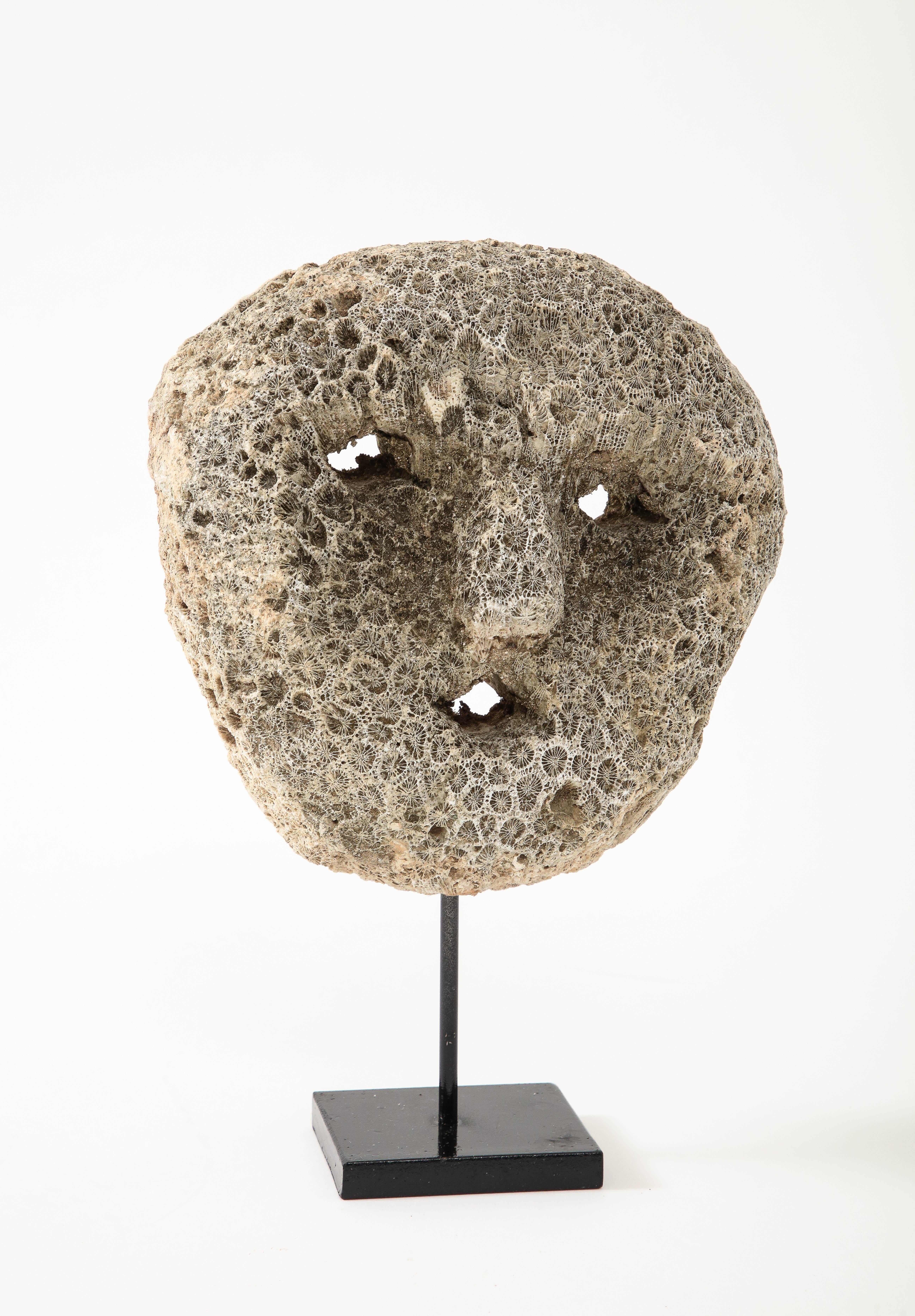 Stone Fossilized Coral Animist Mask by the Atomi People of Timor  For Sale