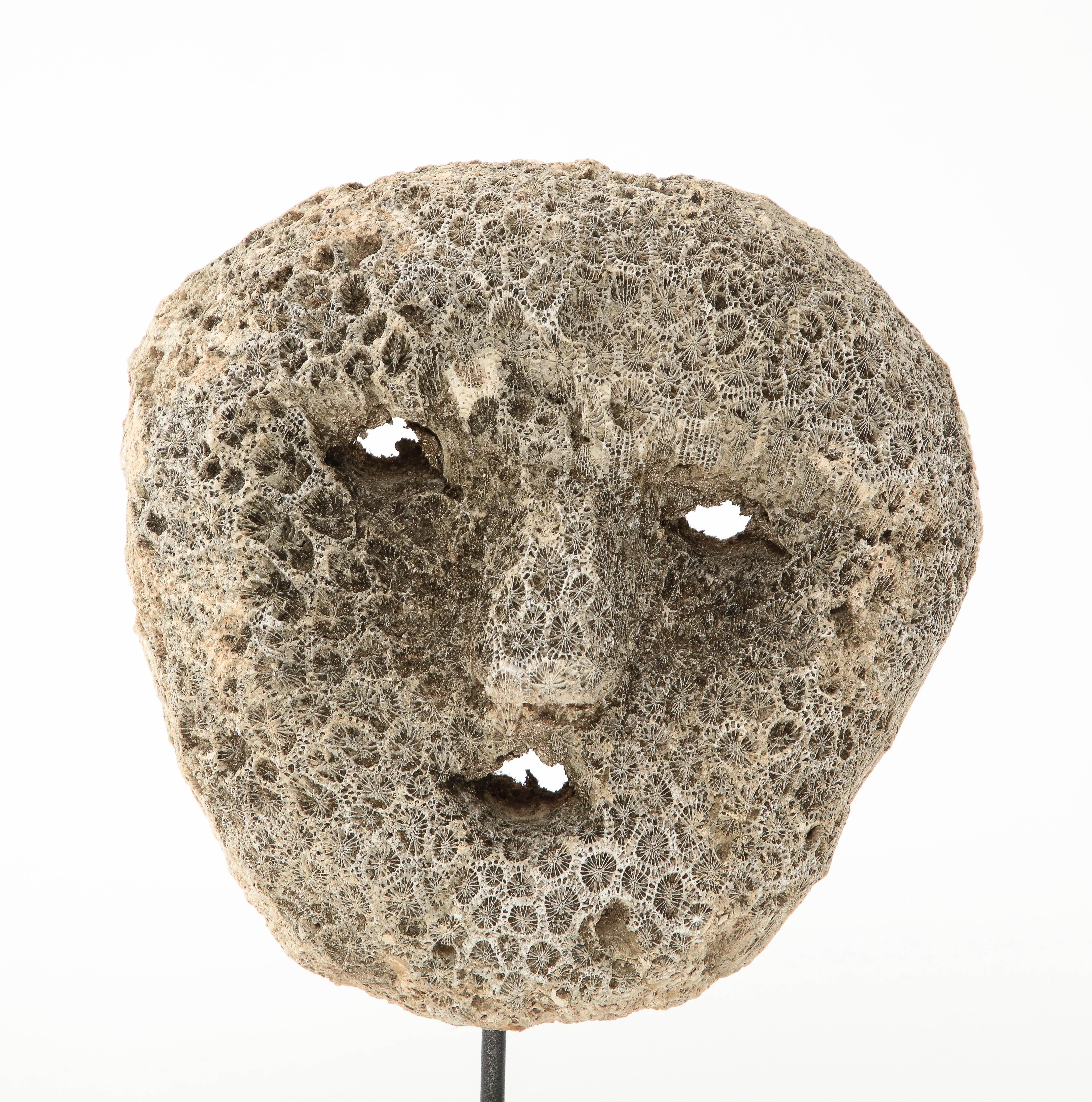 Fossilized Coral Animist Mask by the Atomi People of Timor  For Sale 1