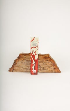 Fossilized Elegance: Ancient Petrified Wood Bookends