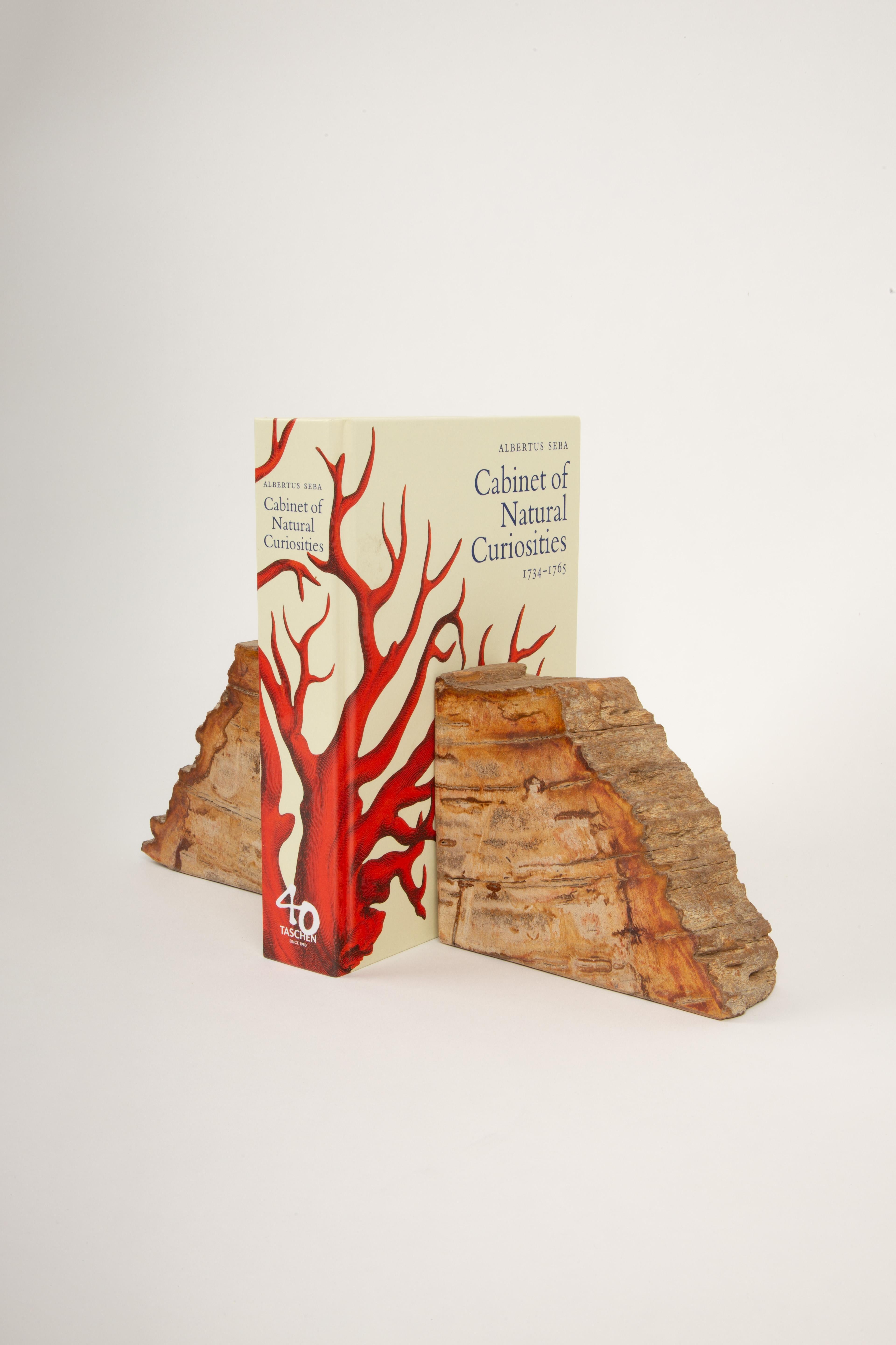 Eleganza fossile: Reggilibri in Wood antico pietrificato In condizioni Nuovo in vendita a New York, NY