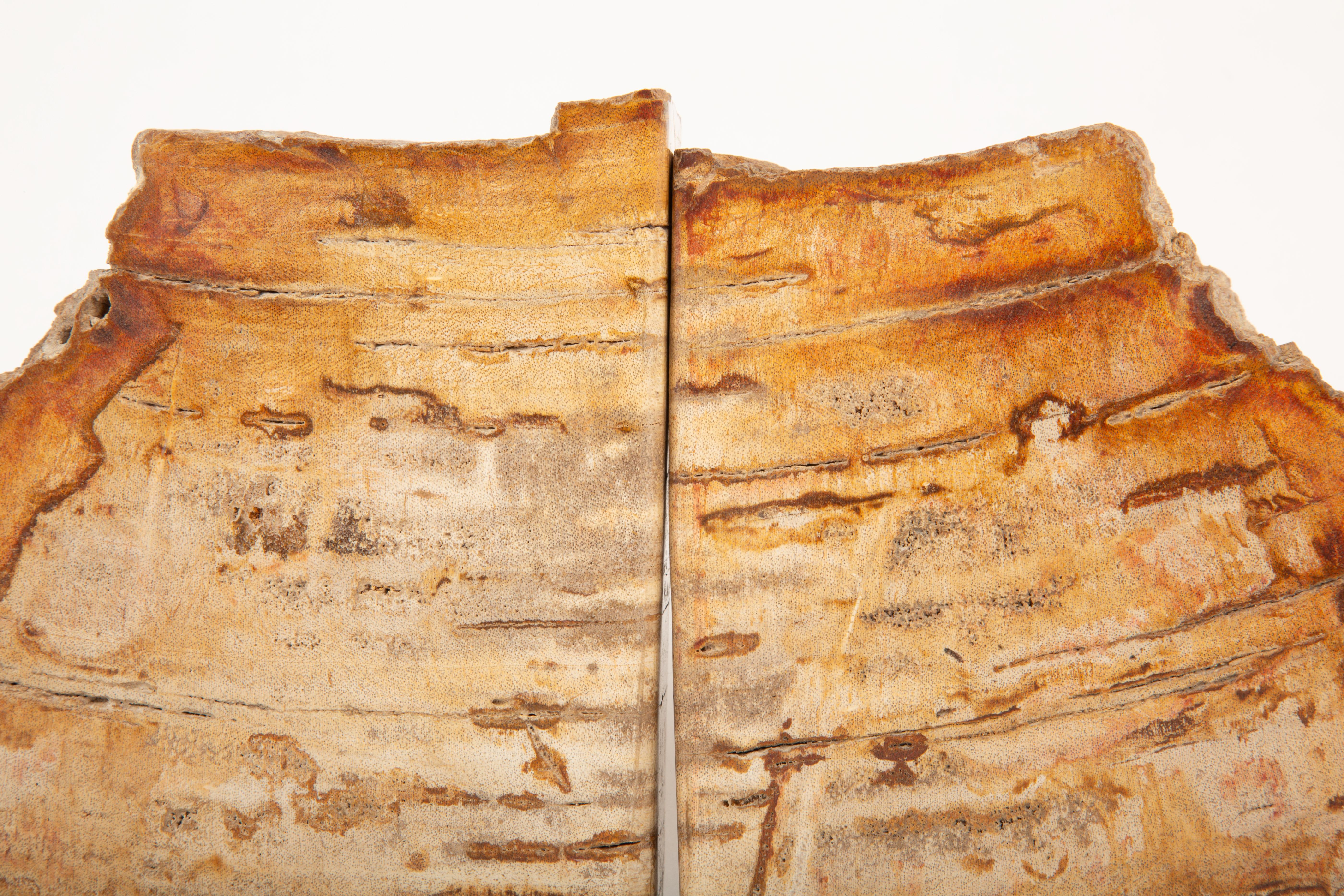 Eleganza fossile: Reggilibri in Wood antico pietrificato in vendita 1