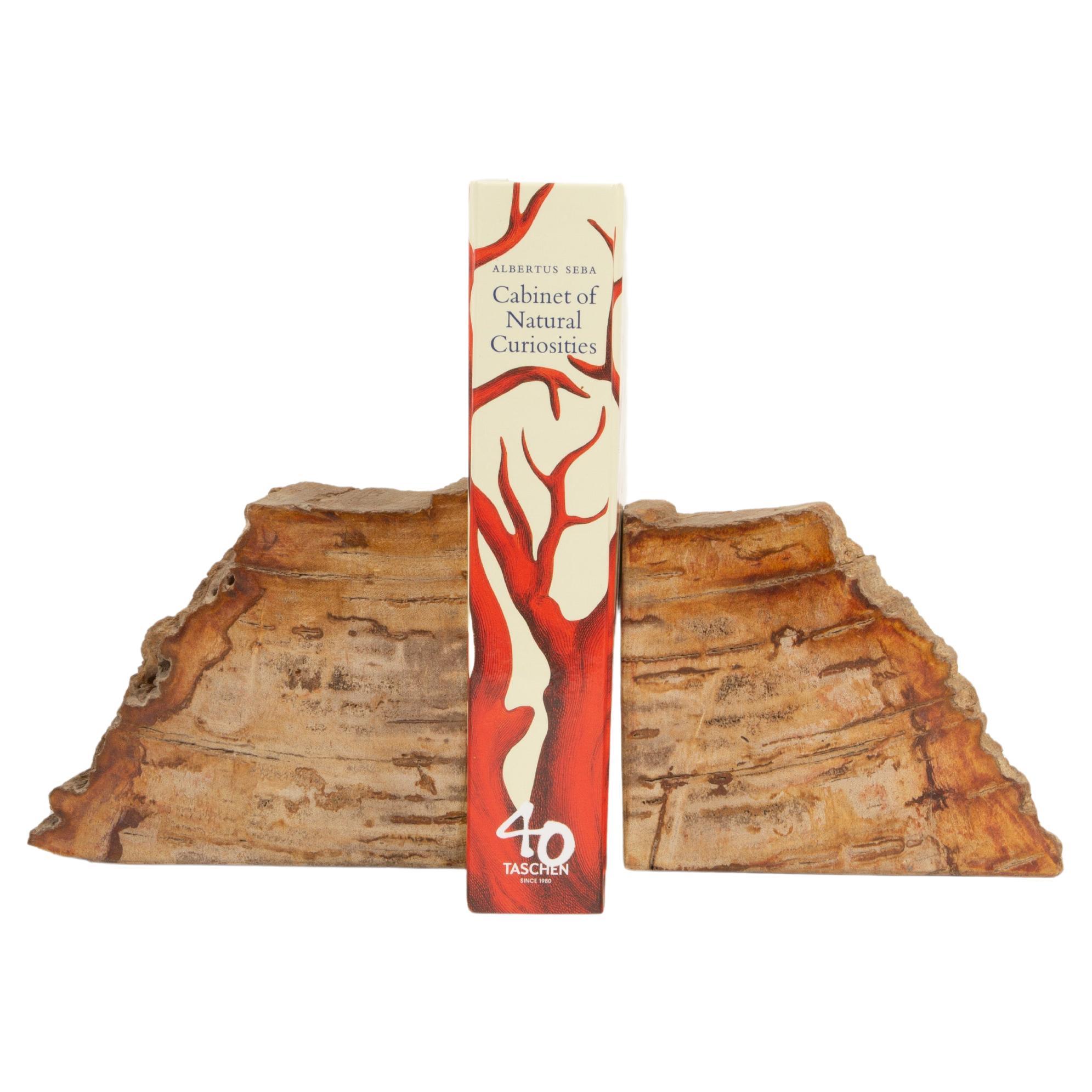 Fossilized Elegance: Ancient Petrified Wood Bookends