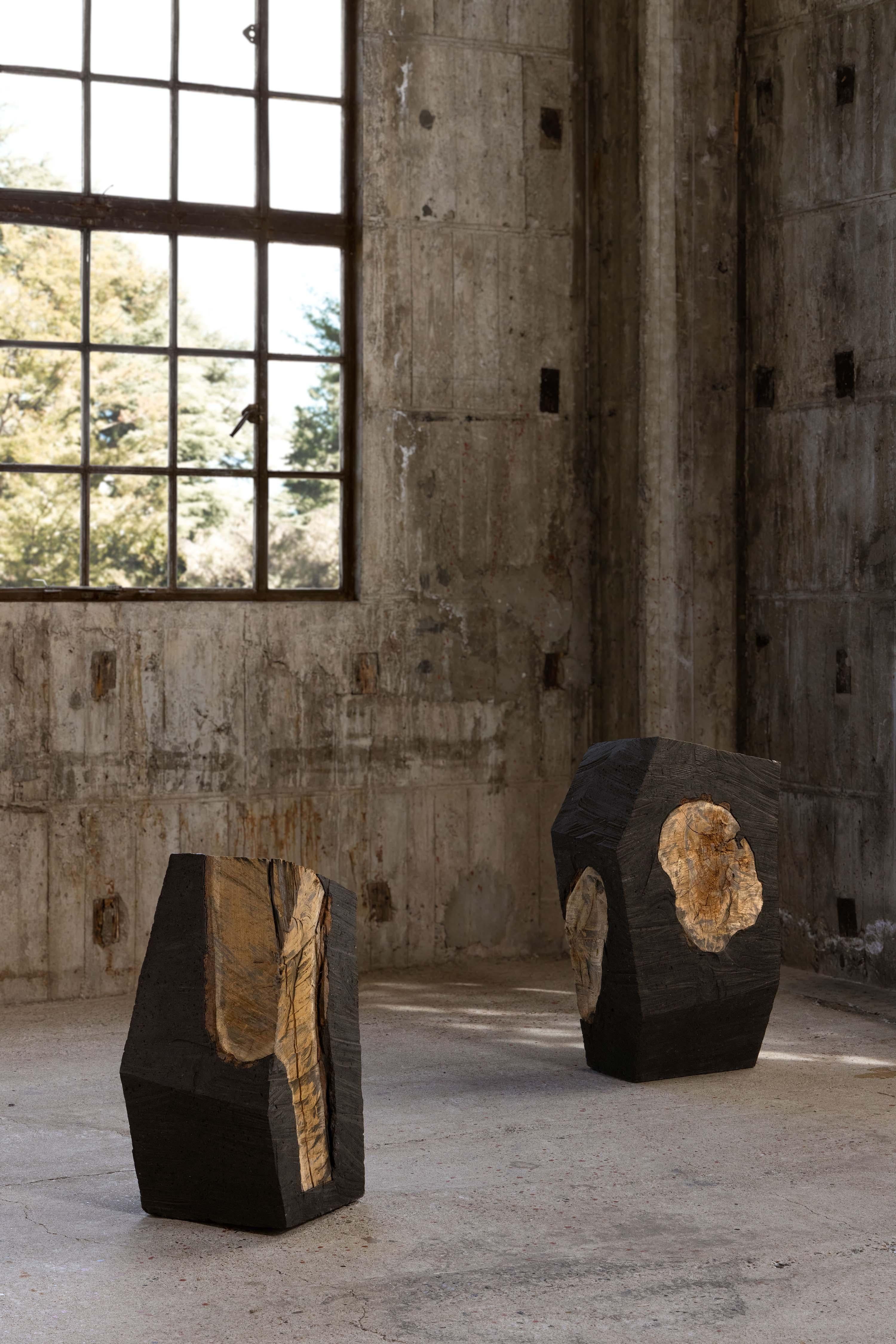 Contemporary Fossilized Future_A by So Koizumi For Sale