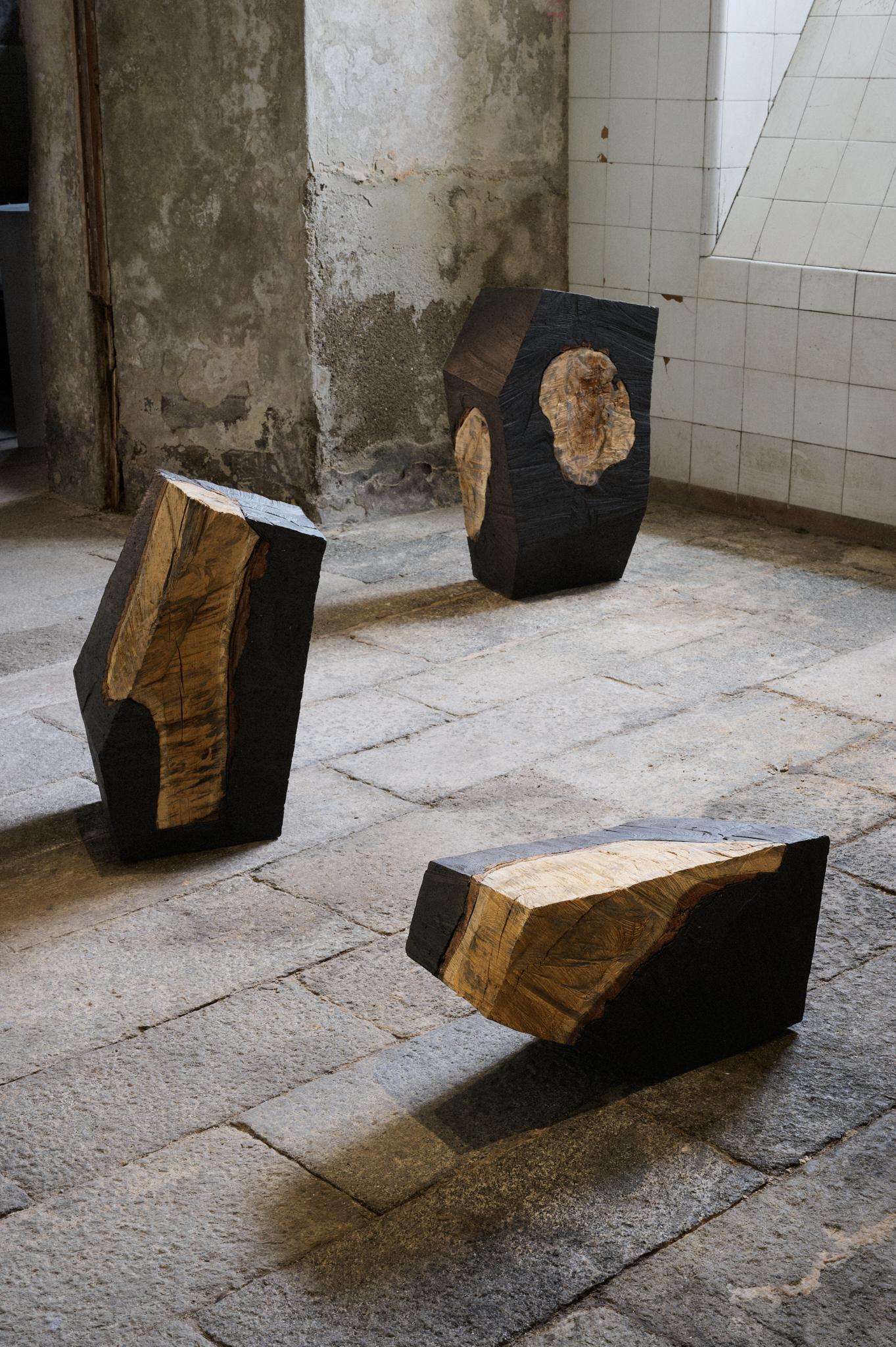 Oak Fossilized Future_A by So Koizumi For Sale