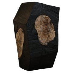 Futuro fossilizzato_A di So Koizumi