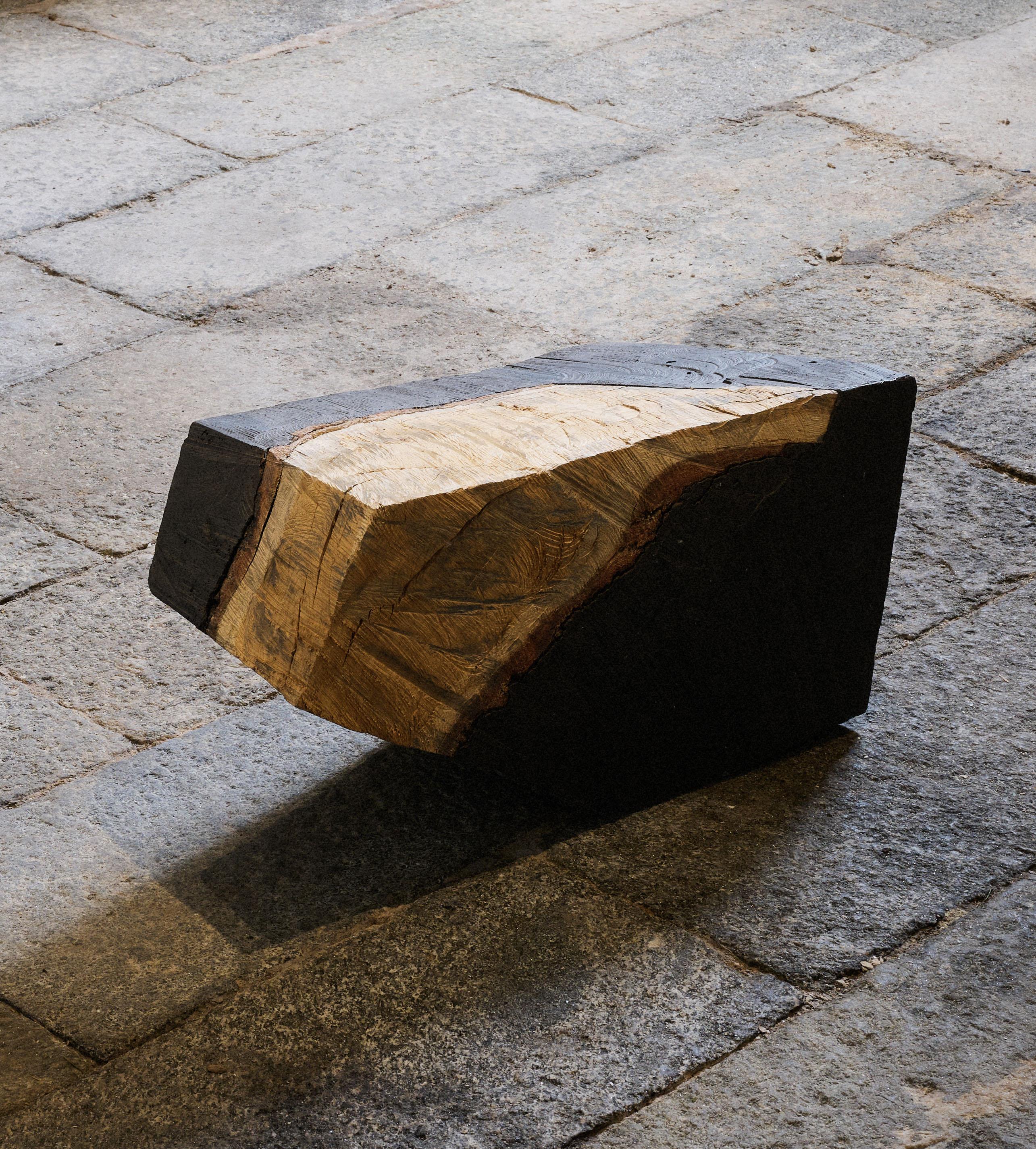Futuro fossilizzato_C di So Koizumi
Dimensioni: L. 66 x P. 36 x H. 33 cm
Materiali: Wood Oak, terriccio, carbone di legna, rifiuti della vita quotidiana (come fondi di caffè e bucce di verdura)
Peso: 37 kg. 

